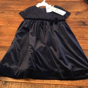 NWT Florence navy lace and velvet toddler dress
